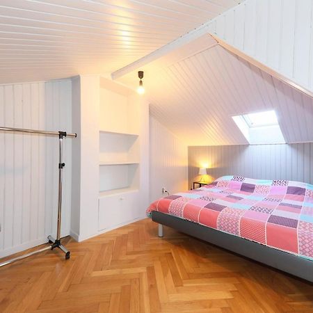 Duplex Atypique Proche Gare & Centre Ville Mulhouse Kültér fotó